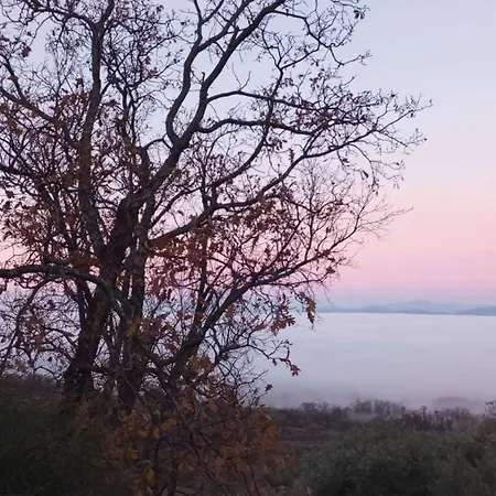 El Capricho Casa de Férias Casas del Monte