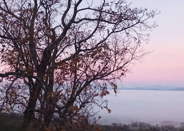 El Capricho Hébergement de vacances Casas del Monte